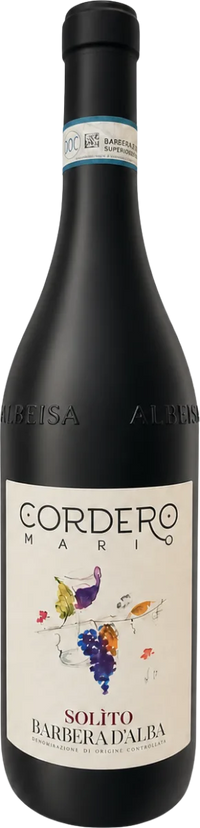 Barbera d'Alba DOC - Solito