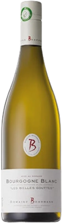 Bourgogne Blanc - Cote d'Or
